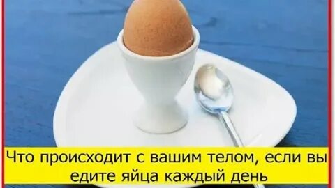 Что будет если съесть много яиц