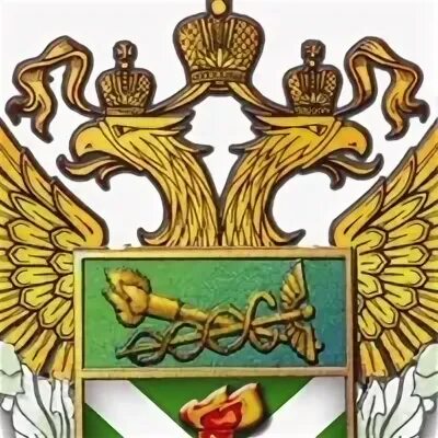 Эиос рта ростовский филиал