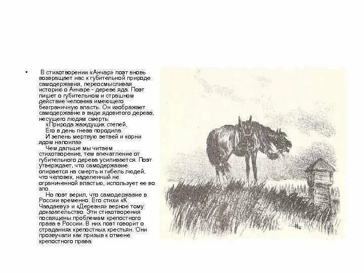 Анчар читать. Стих анчар пушкин. стих пушкина про дерево анчар. анчар пушкин текст. анчар стих пушкина текст.
