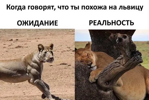 Смешная картинка ожидание