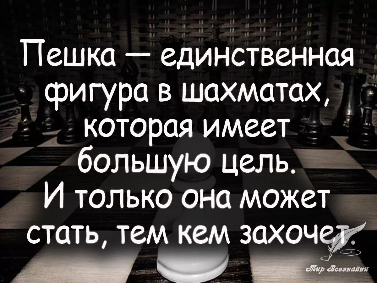 цитаты ленина. цитаты ленина о капитализме. классификация социальных групп. социальные группы примеры. ст 37 конституции рф охрана труда.