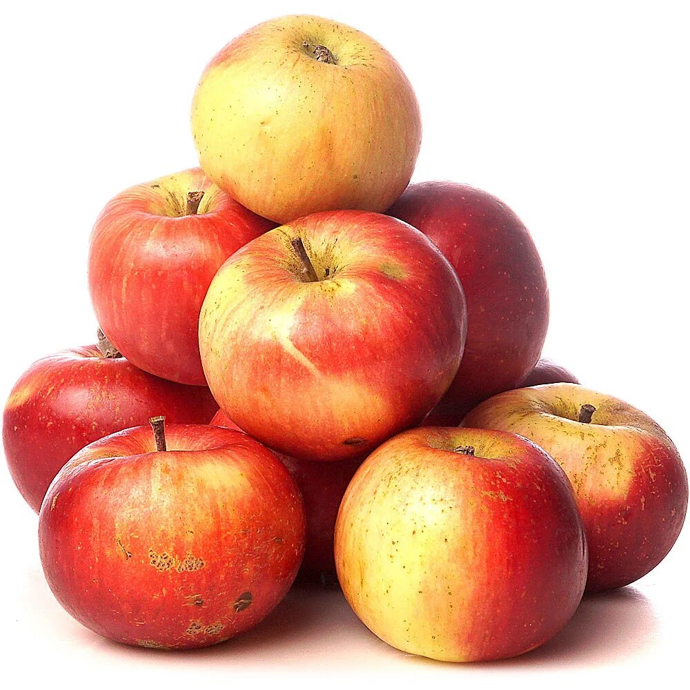 2 килограмм яблок. Яблоки Прима Руж. Сорт яблок Прима. Деми Руж яблоки. Яблоки Прима Руж Молдова.