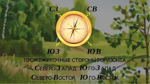 Противоположные стороны горизонта окружающий мир 2 класс