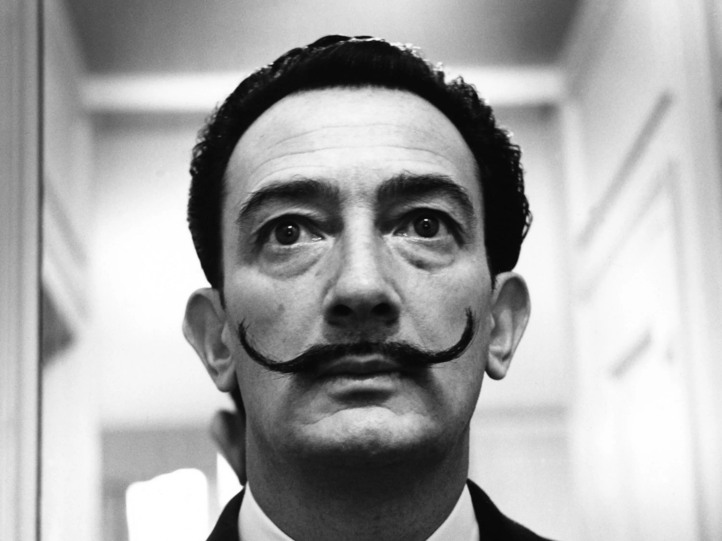 Salvador Dali. Усатый художник Сальвадор. Сальвадор дали портрет. Усы Сальвадора дали.