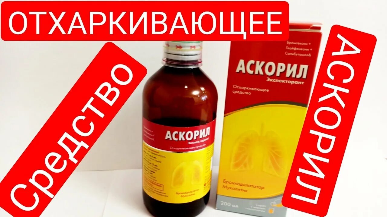 Аскорил пить до или после еды. Аскорил. Аскорил сироп. Аскорил сироп для детей до еды или после еды. Ацефил каф сироп.