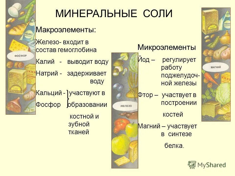 Значение минеральных солей кратко