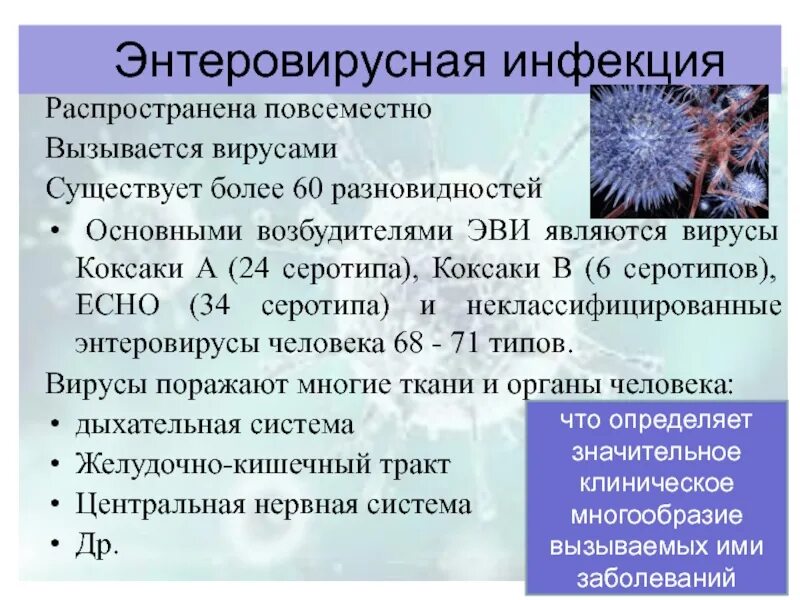 Вирус ксаки. Вирус коксаки симптомы у детей. Энтеровирусная инфекция сыпь. Вирус ксаки. Вирус ксаки.
