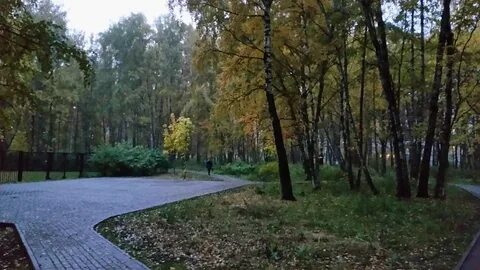Ул дубовой рощи