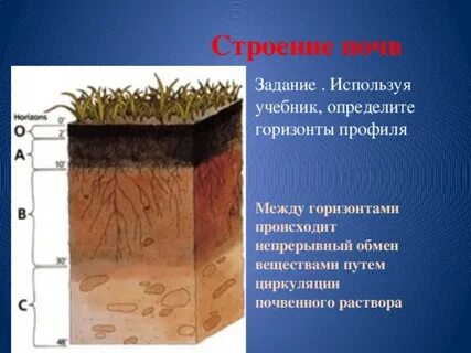 Почвы задания