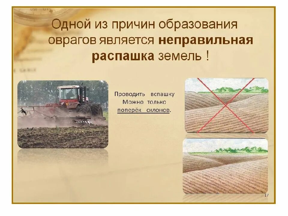 Какие меры борьбы с оврагами