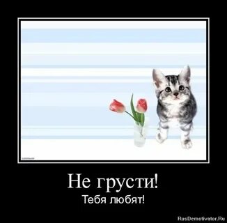 Не грусти я больше не вернусь