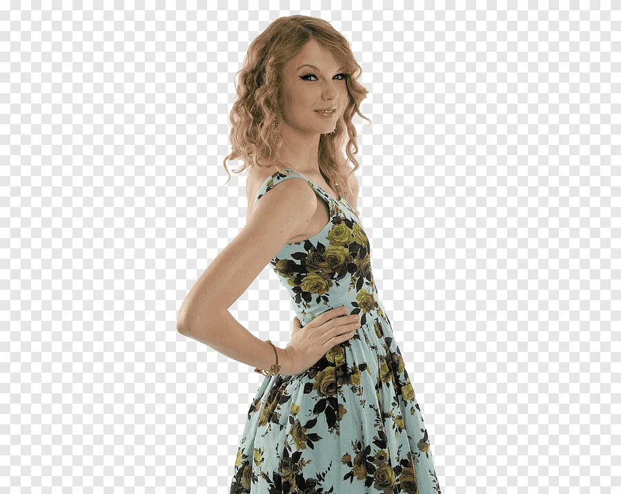 Model swift