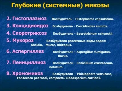 Возбудители микозов