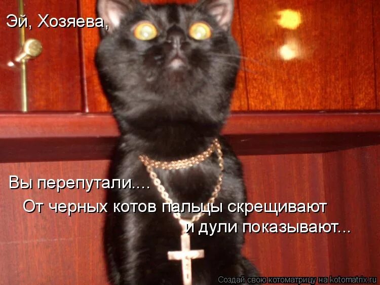 Мем кот с крестом тещин язык ! Сообщество "Вкусно жрать" на DRIVE2