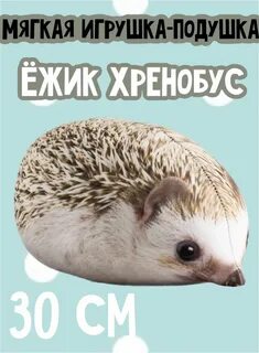 Хренобус еж игрушка