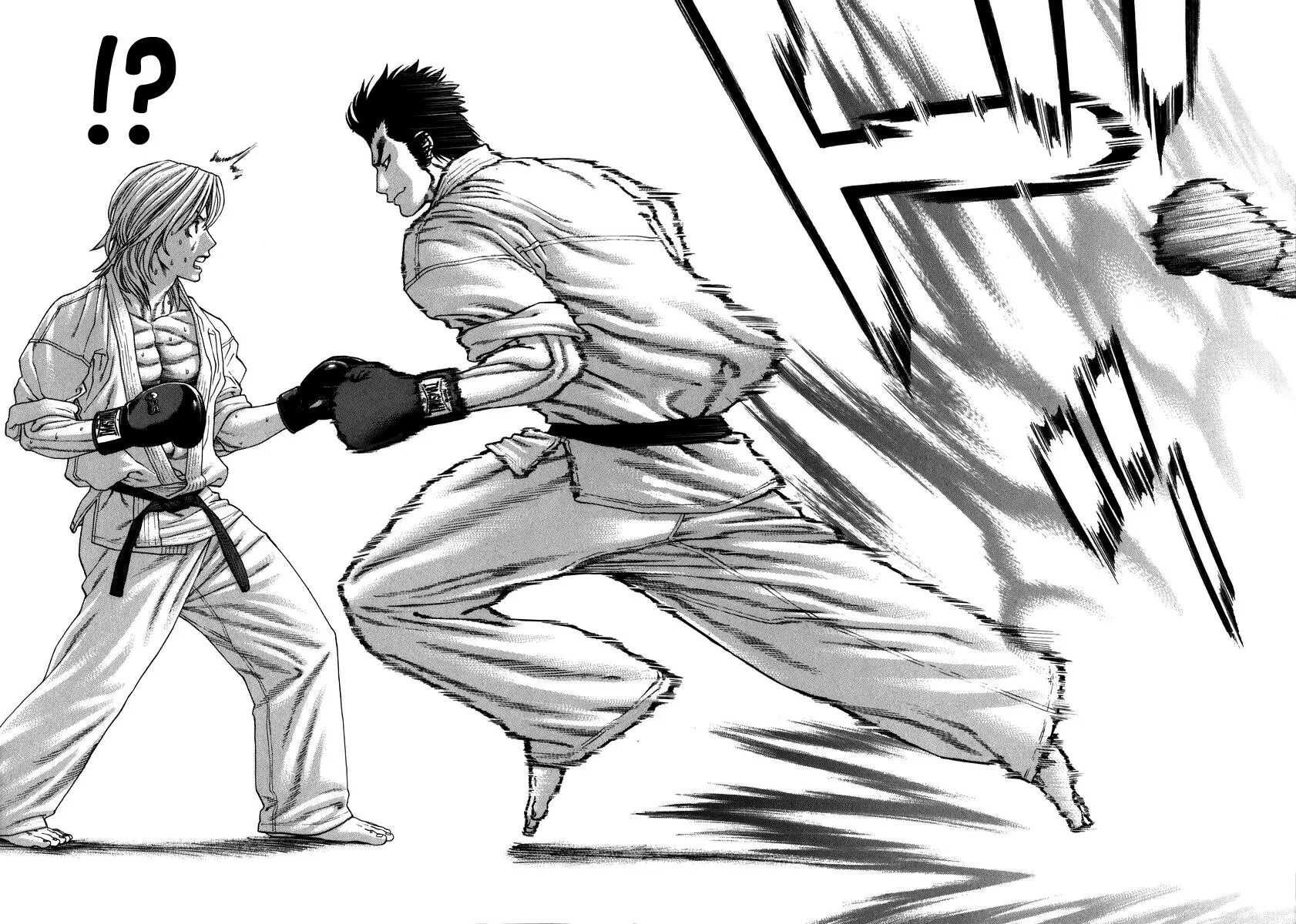 Пик боевых искусств манга поцелуй. Манга про единоборства. Каратист арты. Боевое искусство манго. Боевое искусство манго.