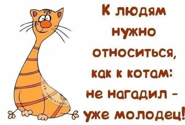 Нужно отнестись со всей