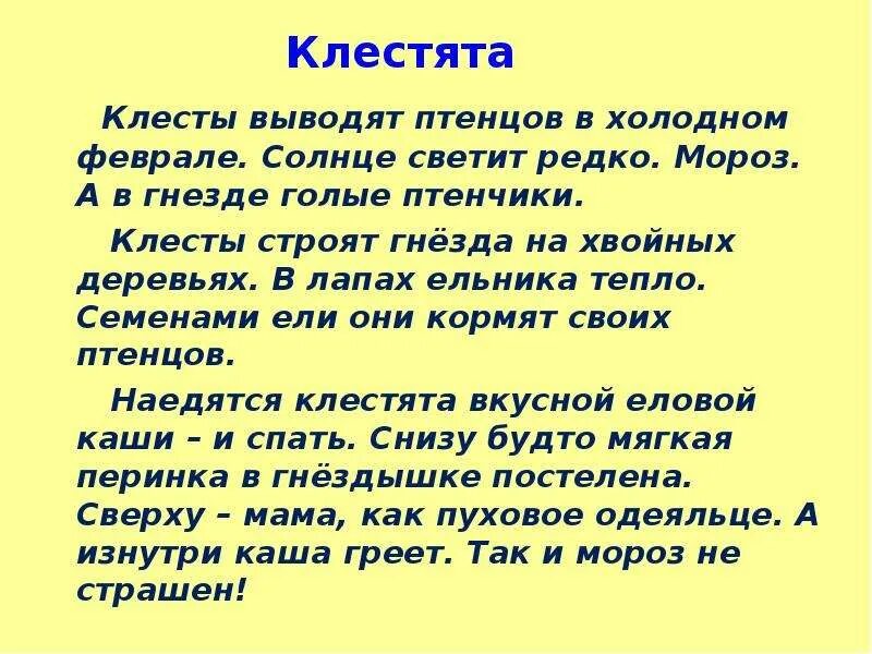 Обучающее изложение клесты 3 класс. Изложение 3 класс 2 четверть школа россии клесты. изложение клестята. клесты изложение 3 класс. клесты выводят птенцов в холодном феврале солнце светит редко.