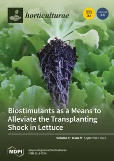 Transplant shock is stress experienced by vegetable seedlings during transp...