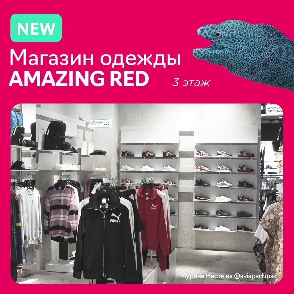 Amazing Red Puma. Amazing Red Puma магазин. Amazing Red Европолис. Эмейзинг ред Казань. Амазинг пума