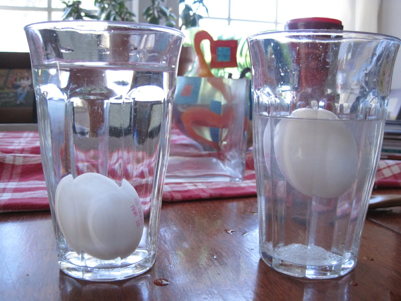 Яйцо в стакан воды на ночь. Опыт с яйцом. Опыт с водой и яйцом и солью. Опыт с яйцом и водой. Яйцо в стакане с водой.