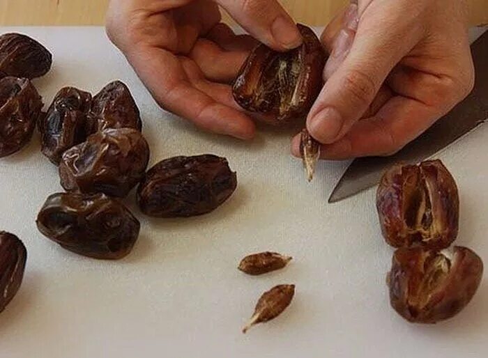 Чем полезны косточки финика. Семена финиковой пальмы. пророщенная финиковая косточка. финик робелена семена. прорастить косточку финика.
