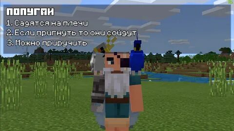 Плеча майнкрафт