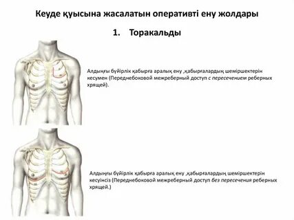 Анам мен ұлым порно