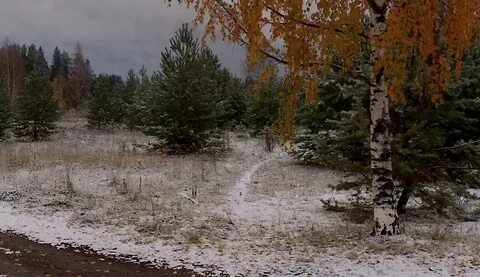Ноябрь предзимний месяц