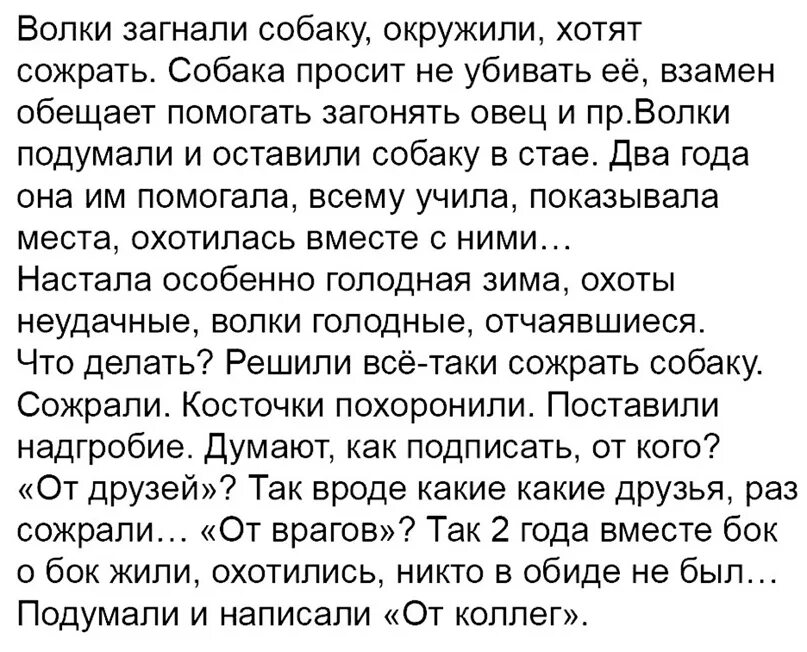 Новый муж рассказ. Ты особенный для меня человек ты единственный. Анекдот я начинаю думать, что ты приносишь мне несчастье. Анекдот ты приносишь мне несчастья. Ты особенный человекмдля меня.