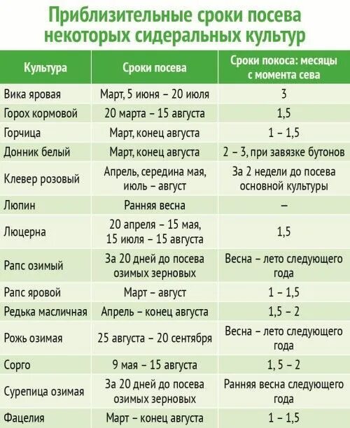 Подготовка семян к посеву Яровой пшеницы таблица. Оптимального срока посадки о. Сроки посева культур. Таблица высева зерновых культур. Расход семян на сотку