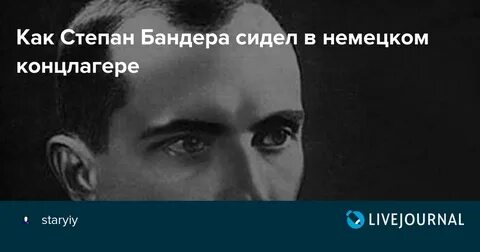 Диагноз бандера