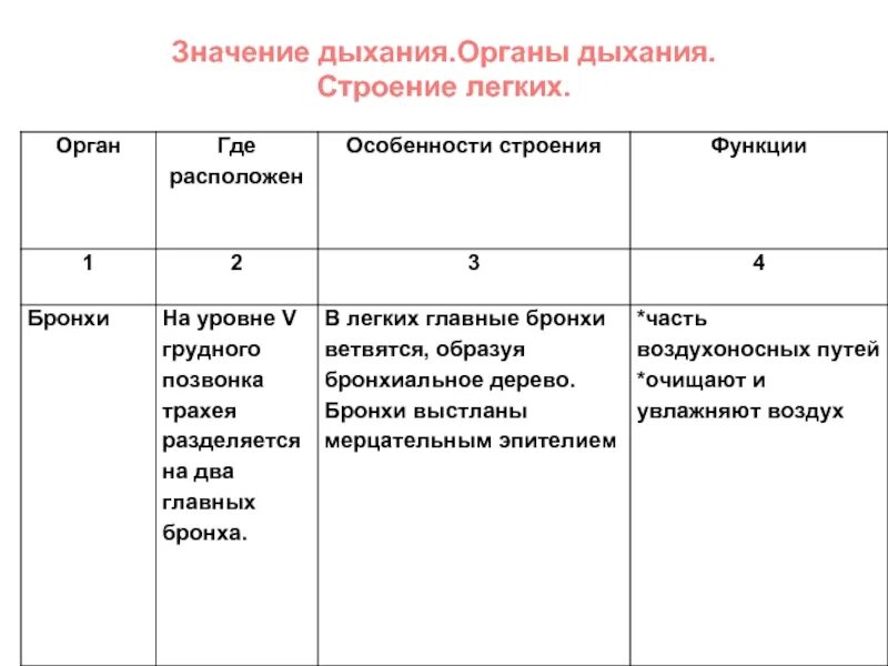 Органы дыхания особенности строения и функции таблица. Таблица по биологии 8 класс строение органов дыхательной системы. Строение и функции органов дыхания таблица. Органы дыхания и их функции таблица 8 класс биология.