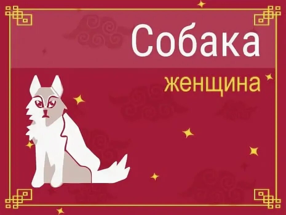 Собака и стрелец женщина. Собака стрелец. женщина собака характеристика. собака овен. красная огненная собака характеристика женщина.