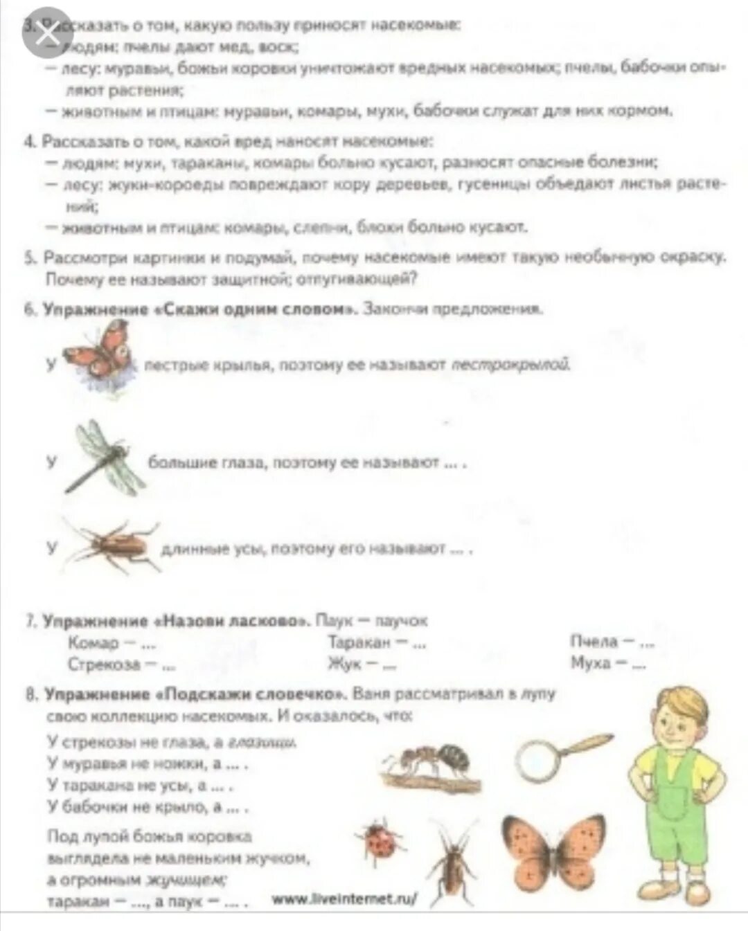 Картотека по лексическим темам в старшей группе. Насекомые лексическая тема логопед. Логопедические задания по теме деревья для старшей группы. Иллюстрации по лексическим темам в старшей группе. Лексические темы в подготовительной группе логопед.