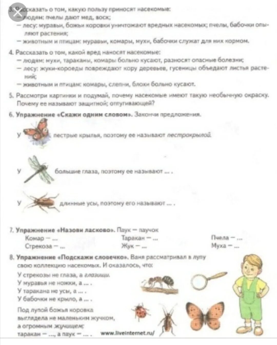 Лексическая тема насекомые в старшей логопедической группе. Домашние задания по теме насекомые для детей с ОНР. Задания логопеда на тему насекомые. Насекомые лексическая тема логопед. Лексическая тема насекомые