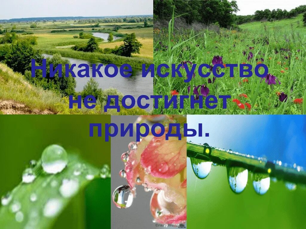 Толстой какая бывает роса тип текста. Л.н.толстого &quot;какая бывает роса на траве&quot;. толстой роса. какая бывает роса на траве. л толстой какая бывает роса на траве.