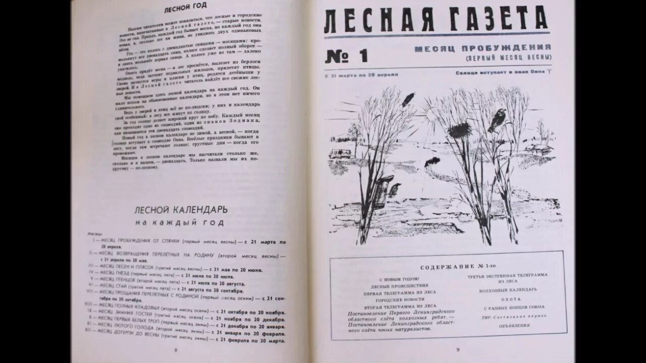 Книга Бианки Лесная газета. Бианки Лесная газета 1928. Сказка Лесная газета Бианки. Месяца лесной газеты