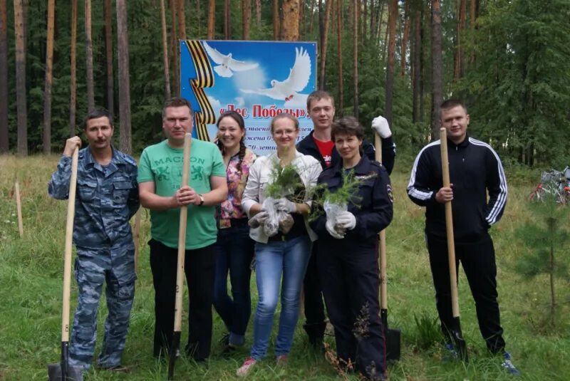 Посёлок Андреево Судогодский район. Андреевское лесничество Судогодского района. Андреево Владимирская область Судогодский район. Полиция Судогодского района.