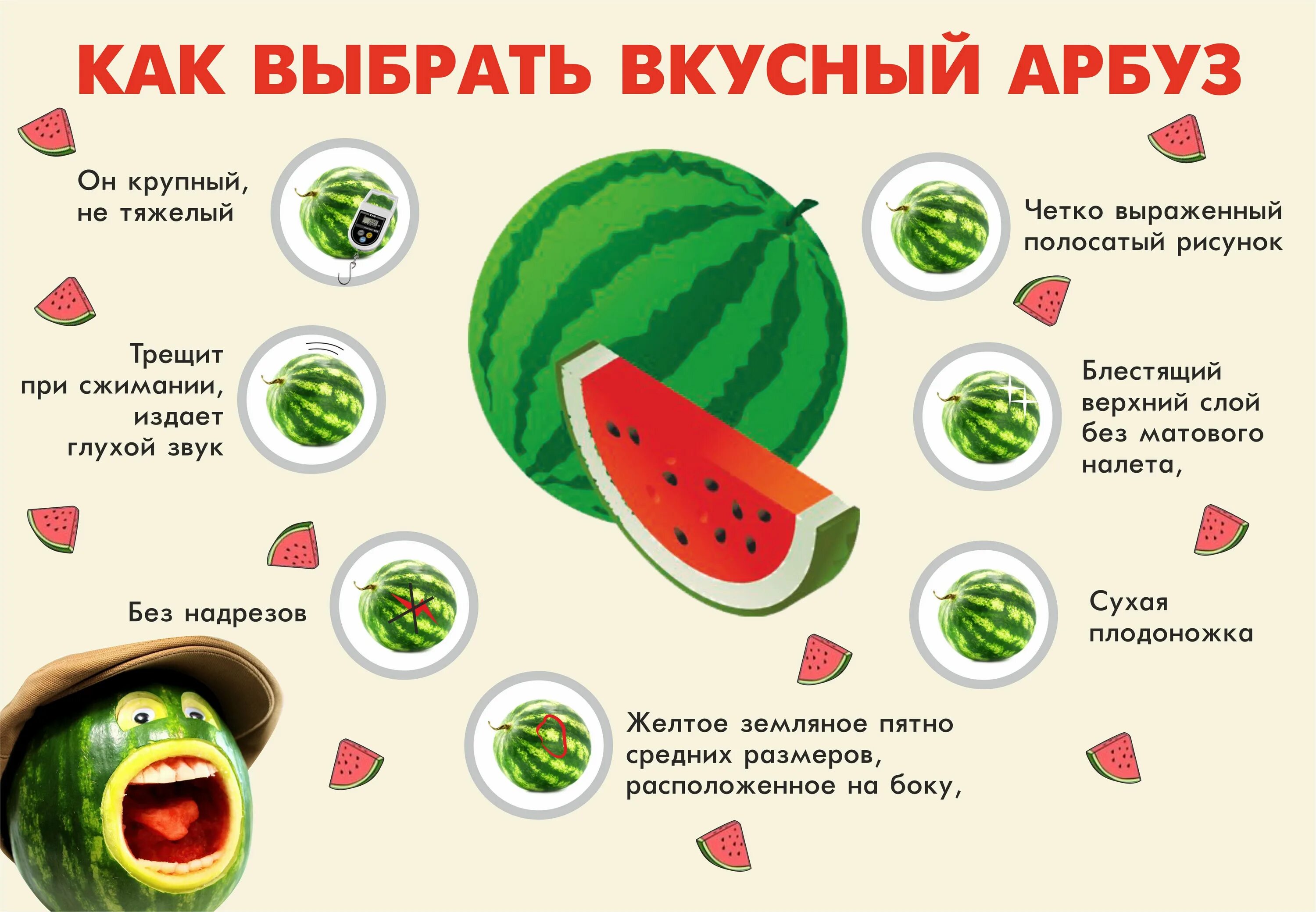 Как проверить вкусный. Как правильно выбрать Арбуз спелый и сладкий. Как правильно выбрать Арбуз. КПК выбрать вкусный Арбуз. Как правильно выбрать ар.