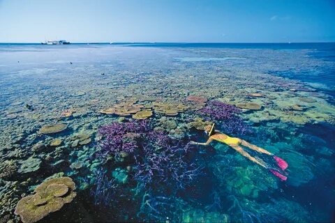 Коралловое море теплое