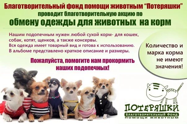 Программа помощи животного. Благотворительная акция для животных. благотворительный фонд помощи животным. фонд животных. сообщение о благотворительном фонде животных.