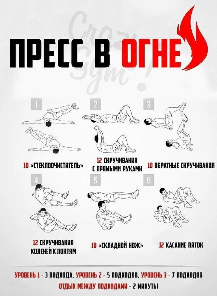 Виды пресса упражнения. Тренировка на пресс. упражнения на пресс. комплекс упражнений на пресс. упражнения дляп пресса.