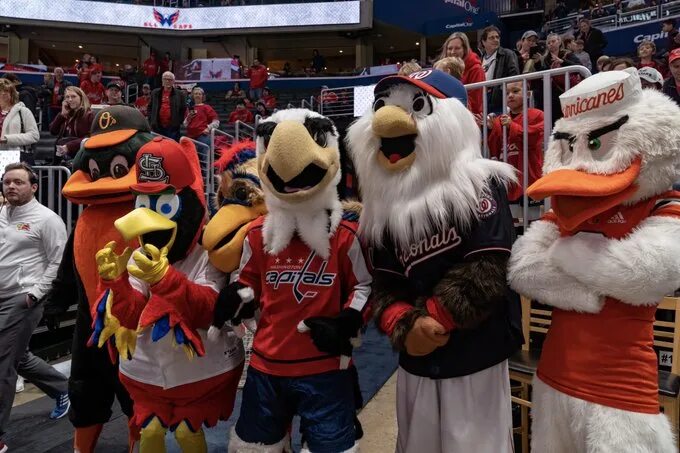 Спортивные маскоты. Маскот шальке-04 футбольный. Маскот первых. Талисман фк ростов. Маскот первых.