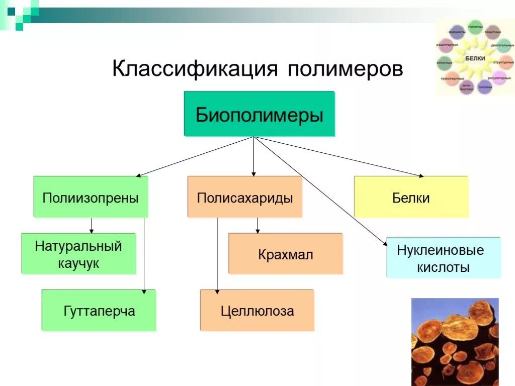 Является природным белком. Классификация биополимеров. Полимеры классификация органических веществ. Полимеры классификация полимеров. Классификация биологических полимеров.