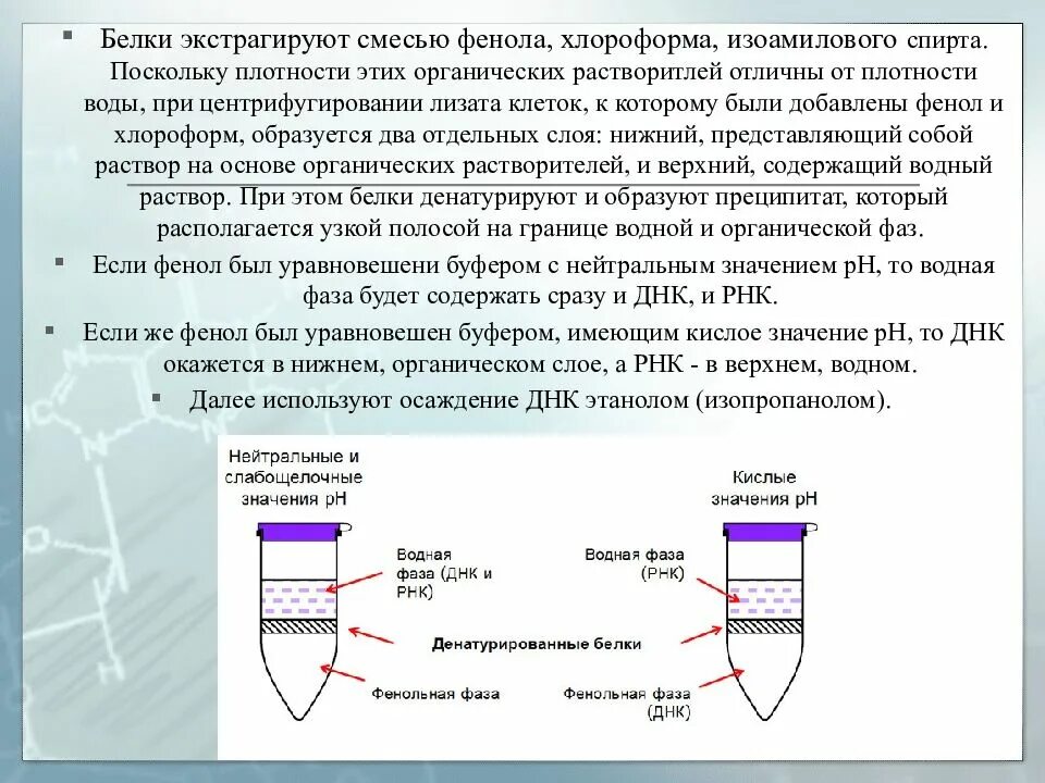 Процесс выделения днк. Выделение ДНК фенол хлороформной экстракции. Фенол-хлороформный метод выделения ДНК. Метод фенол-хлороформной экстракции. Фенол-хлороформная экстракция РНК.