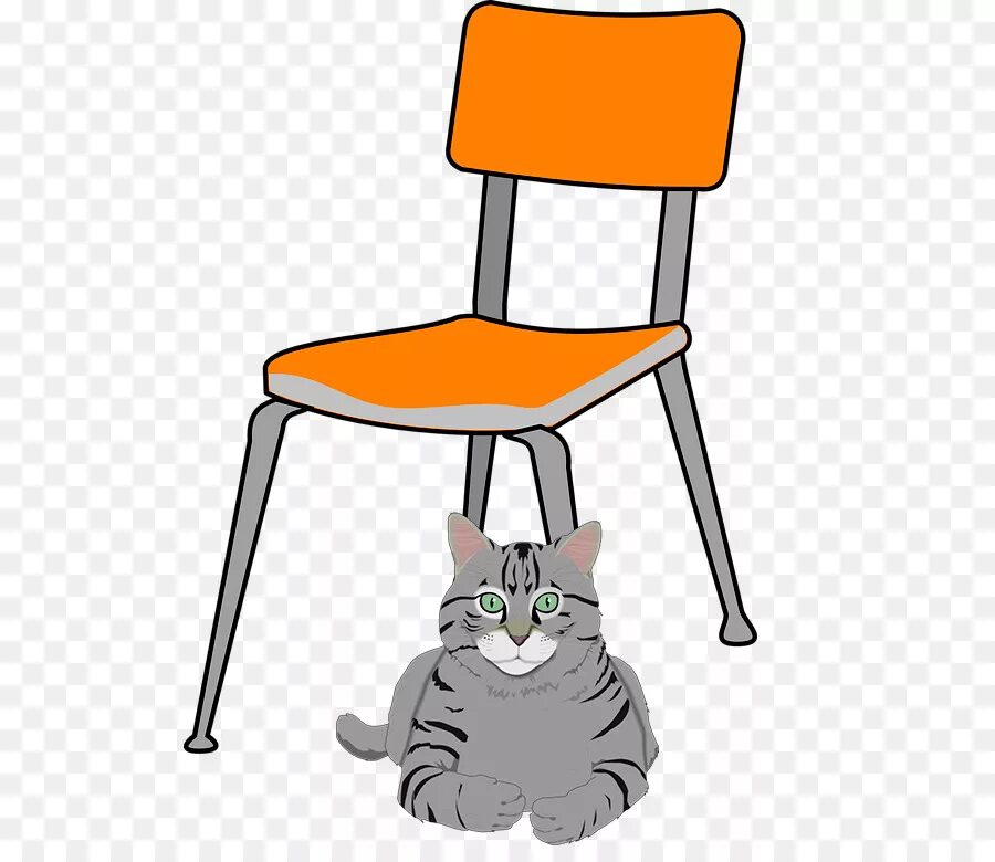 Котик под стулом. Кошка сидит на стуле. Под стулом. Котик сидит на стуле. The cat is the chair