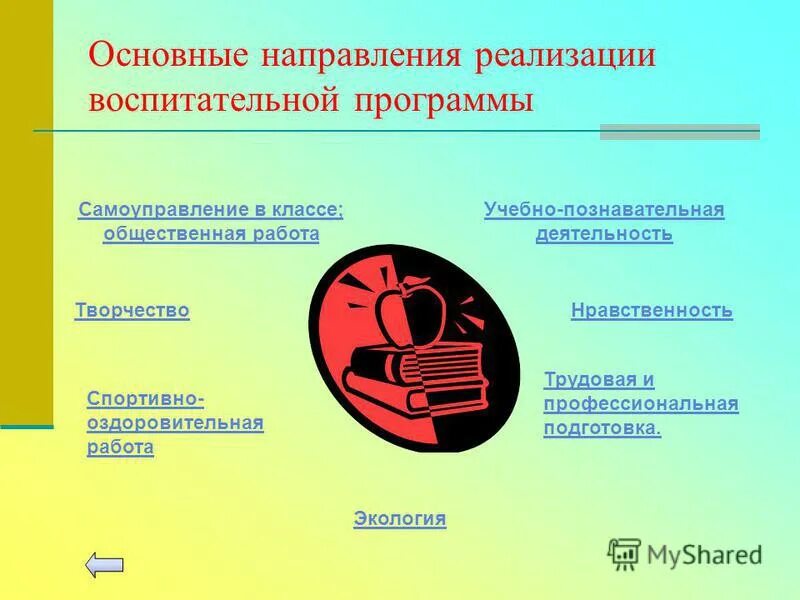 Программа воспитания и социализации. Примерная программа воспитания. Направления реализации программы воспитания. Программы воспитания личности. Цель программы воспитания.