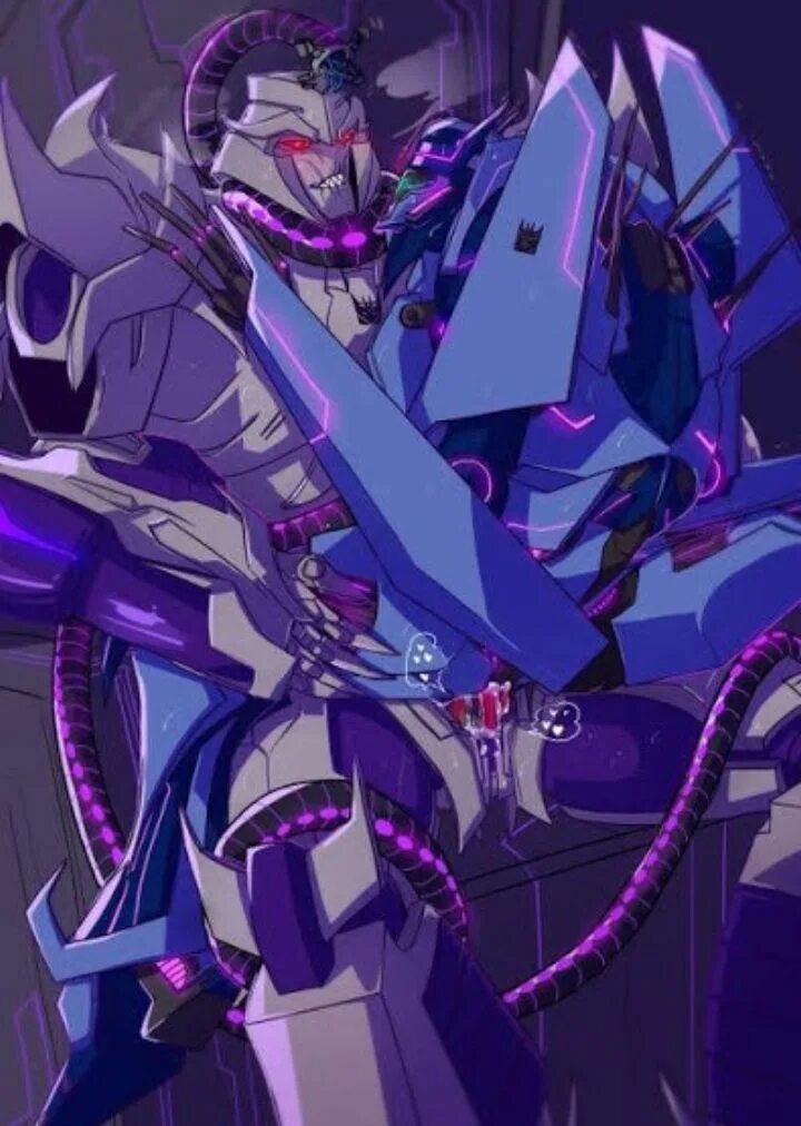 Megatron reader