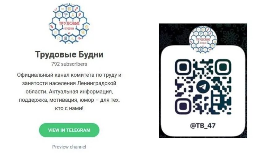 Мотивация тг канал. Telegram-канал "трудовые будни". Комитет по труду и занятости населения Ленинградской области. Телеграмм канал трудовые будни.